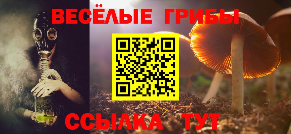Гашиш Каменск-Шахтинский