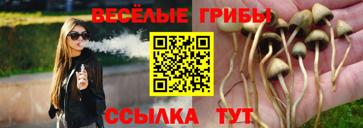 Галлюциногенные грибы мицелий  Псилоцибиновые грибы Magic Shrooms  Вход с VPN  Каменск-Шахтинский 
